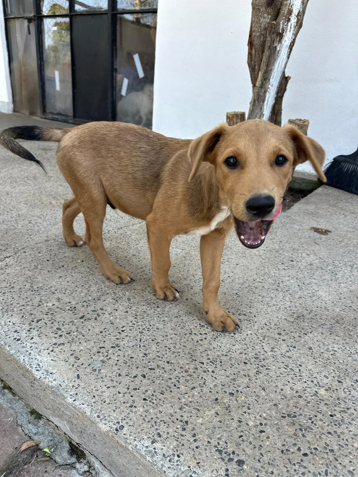 WhatsApp Image 2026-03-18 at 5.39.39 PM (3).jpeg