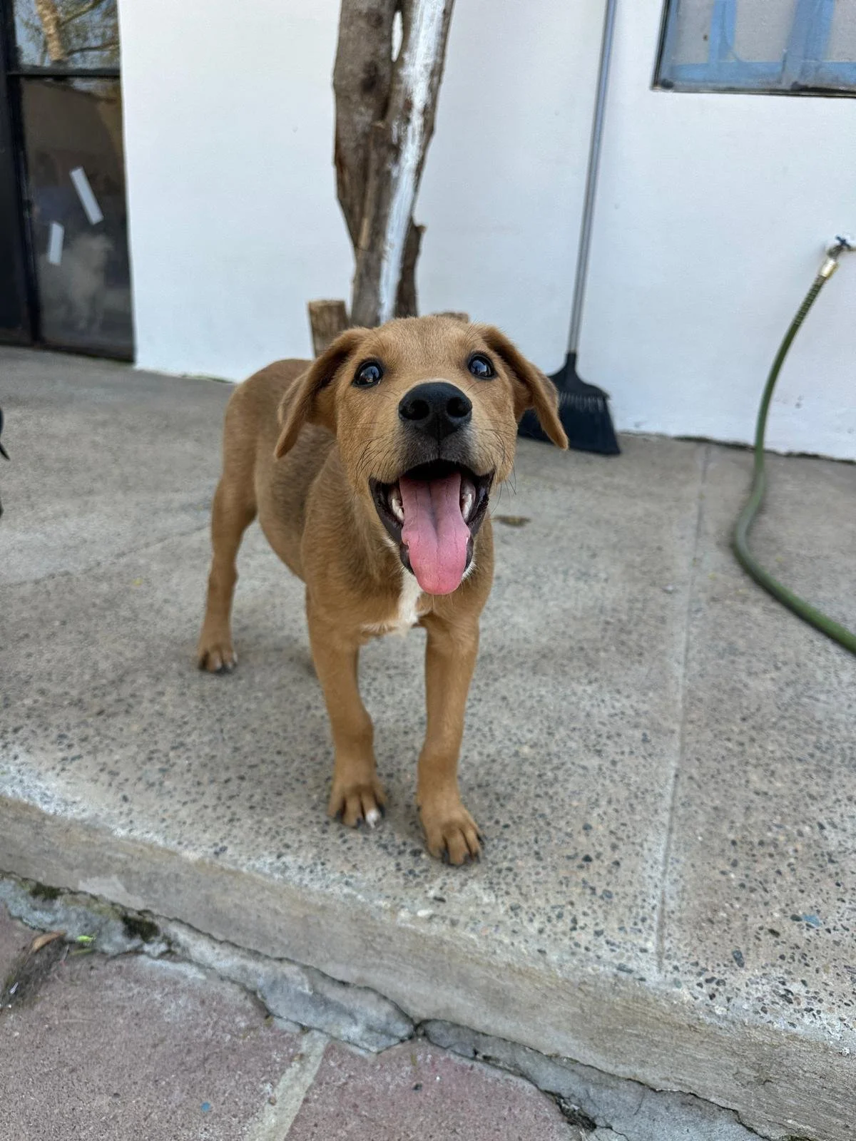 WhatsApp Image 2026-03-18 at 5.39.39 PM (5).jpeg