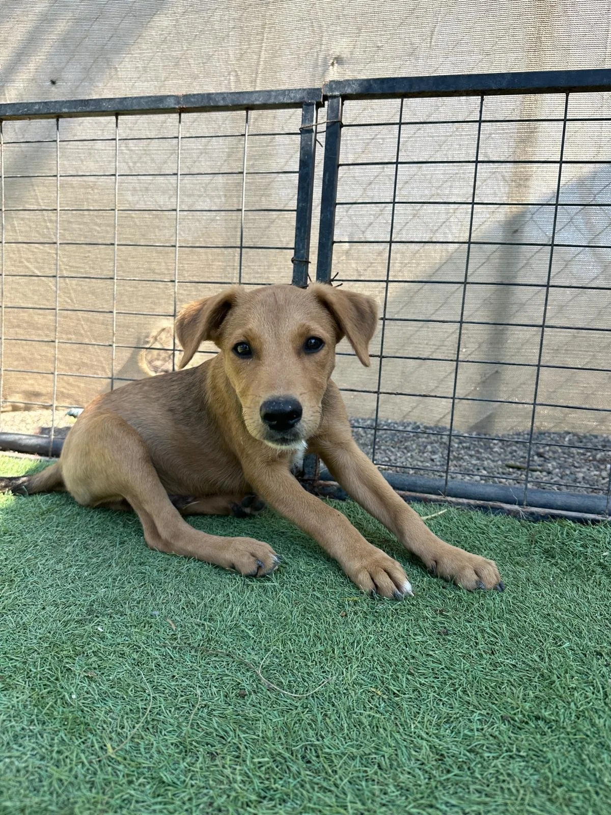 WhatsApp Image 2026-03-18 at 5.39.39 PM (6).jpeg