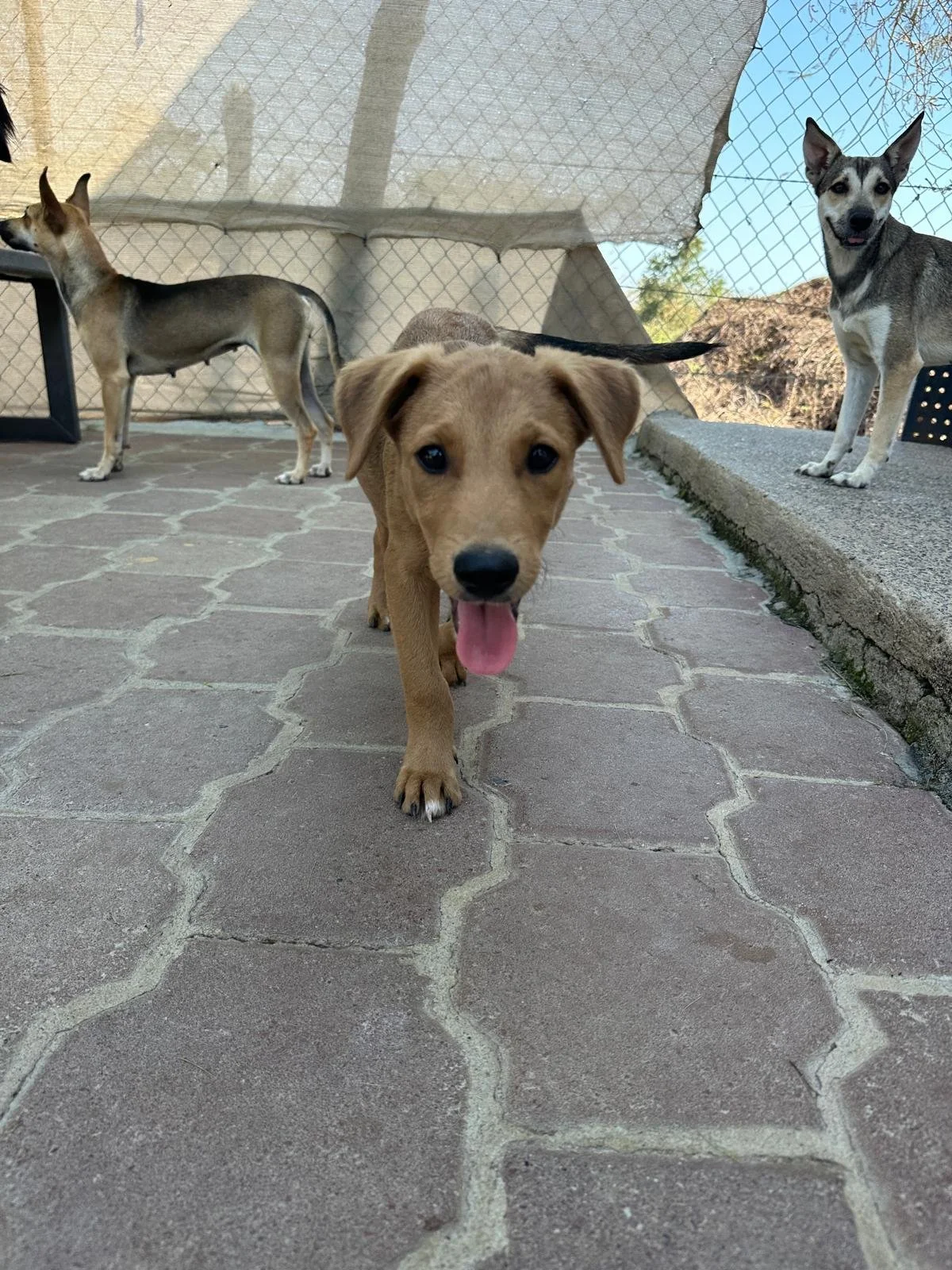 WhatsApp Image 2026-03-18 at 5.39.39 PM.jpeg