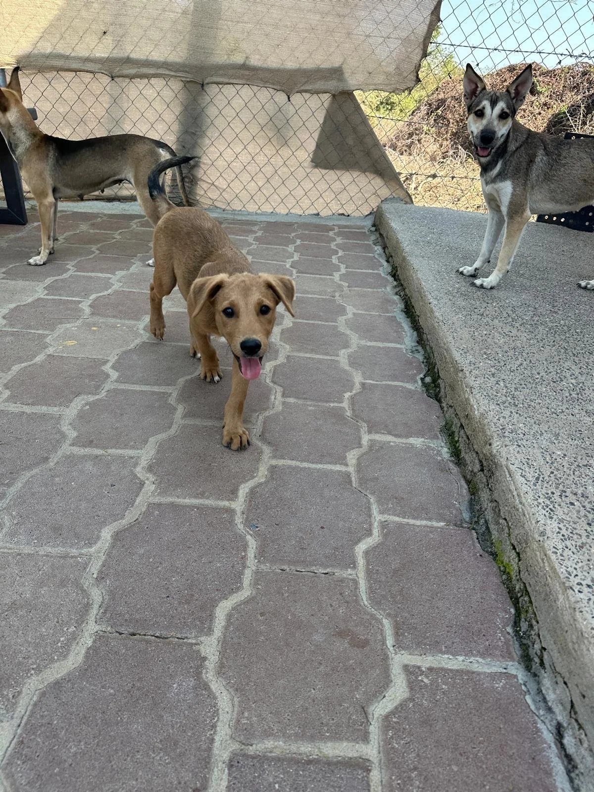 WhatsApp Image 2026-03-18 at 5.39.39 PM (7).jpeg