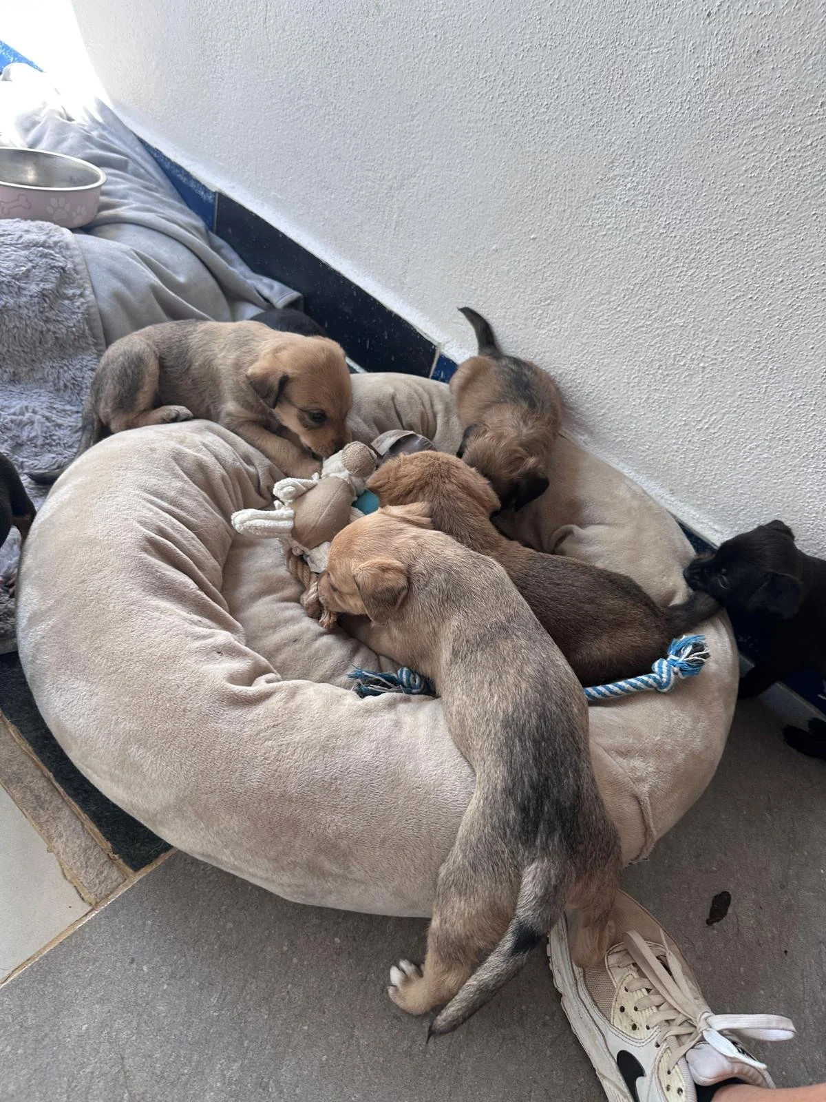 WhatsApp Image 2025-12-22 at 3.58.48 PM (1) (1).jpeg