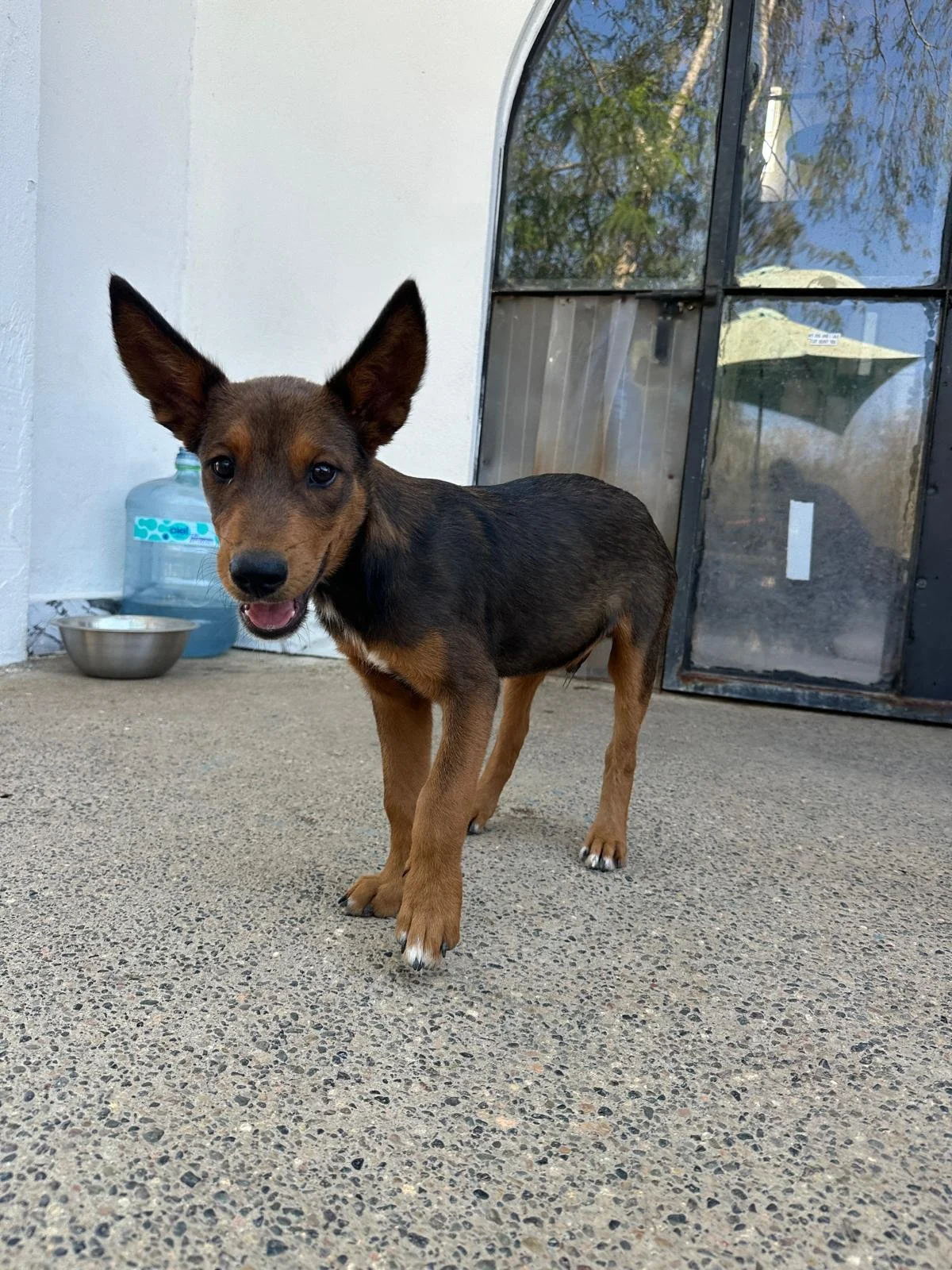 WhatsApp Image 2026-03-18 at 5.37.51 PM (1).jpeg