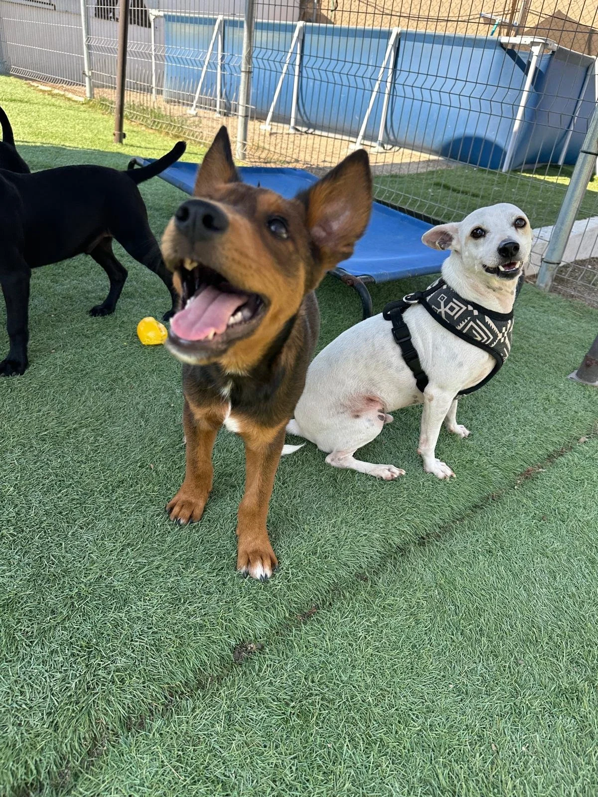 WhatsApp Image 2026-03-18 at 5.37.51 PM (2).jpeg