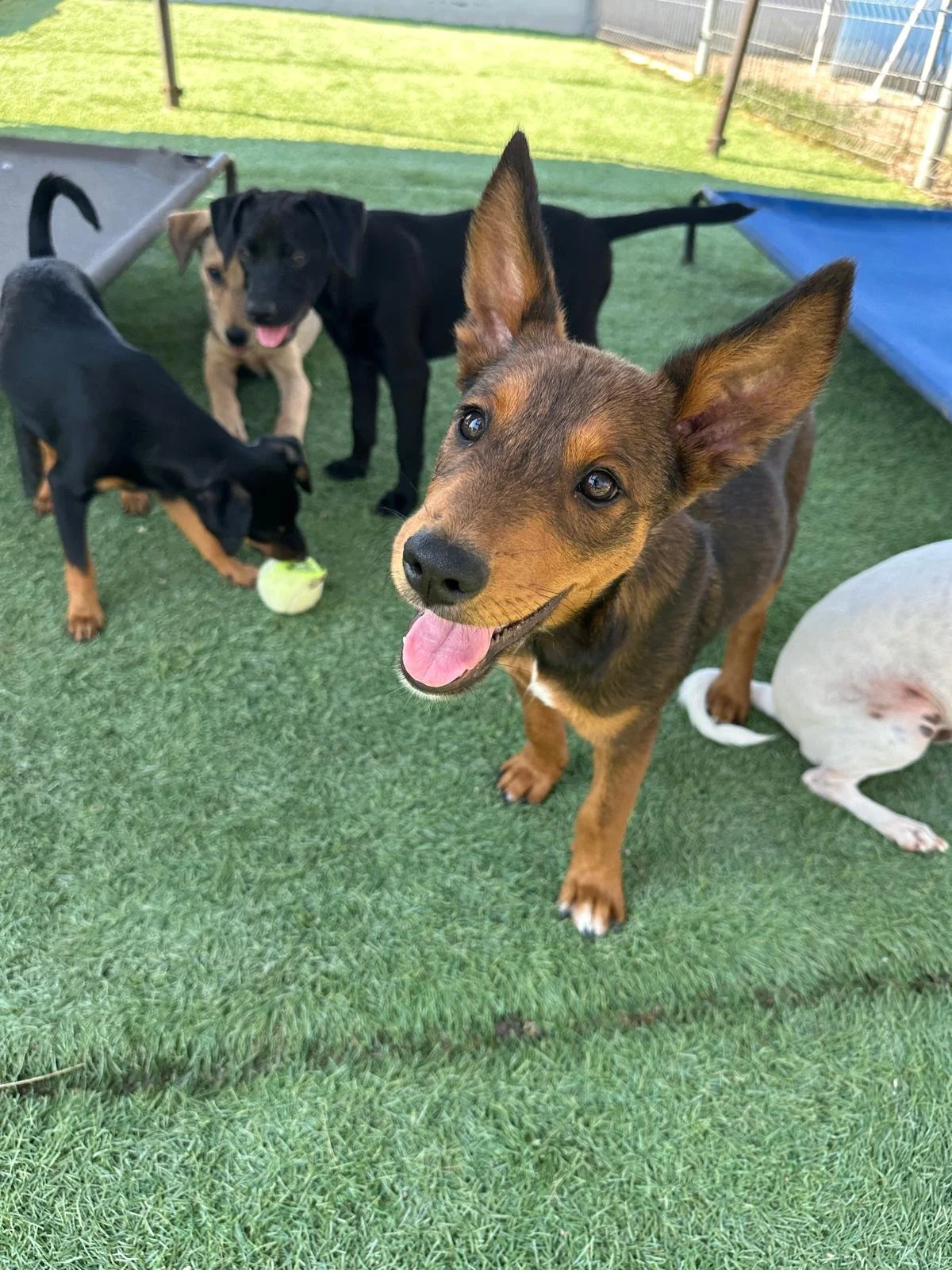 WhatsApp Image 2026-03-18 at 5.37.51 PM (4).jpeg