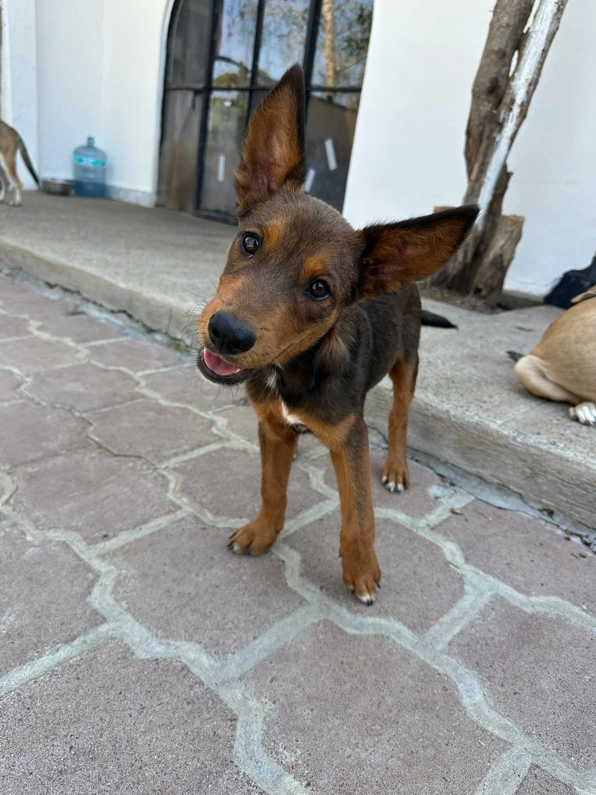 WhatsApp Image 2026-03-18 at 5.37.51 PM.jpeg