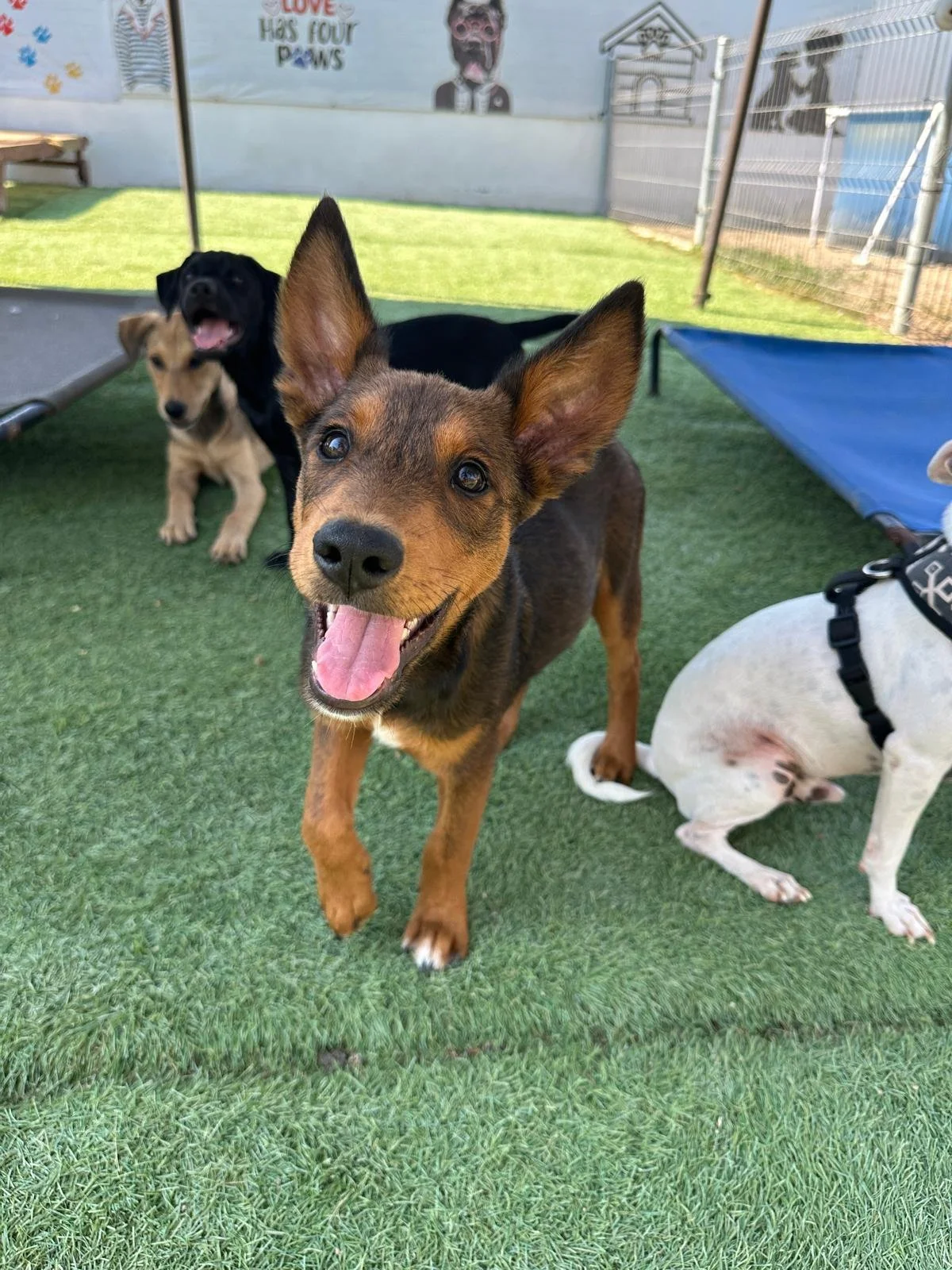 WhatsApp Image 2026-03-18 at 5.37.52 PM (1).jpeg