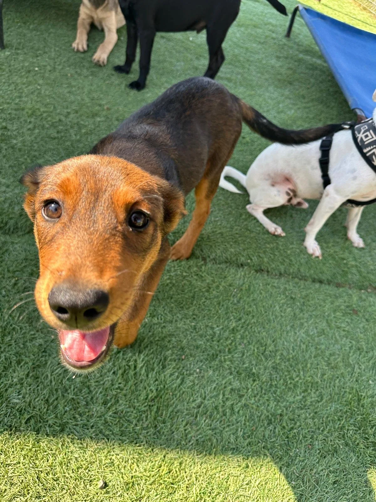 WhatsApp Image 2026-03-18 at 5.37.52 PM (2).jpeg