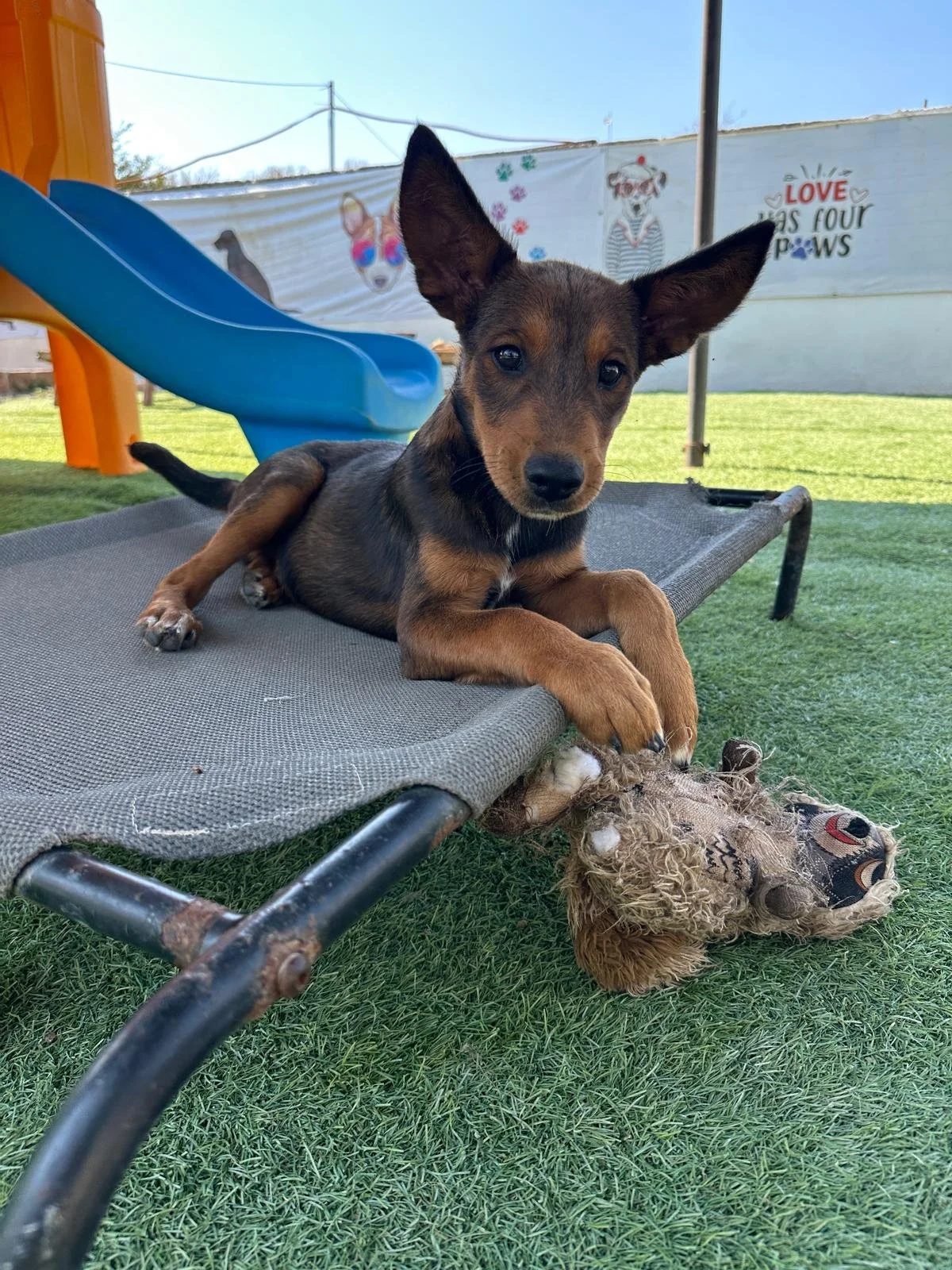 WhatsApp Image 2026-03-18 at 5.37.52 PM (3).jpeg