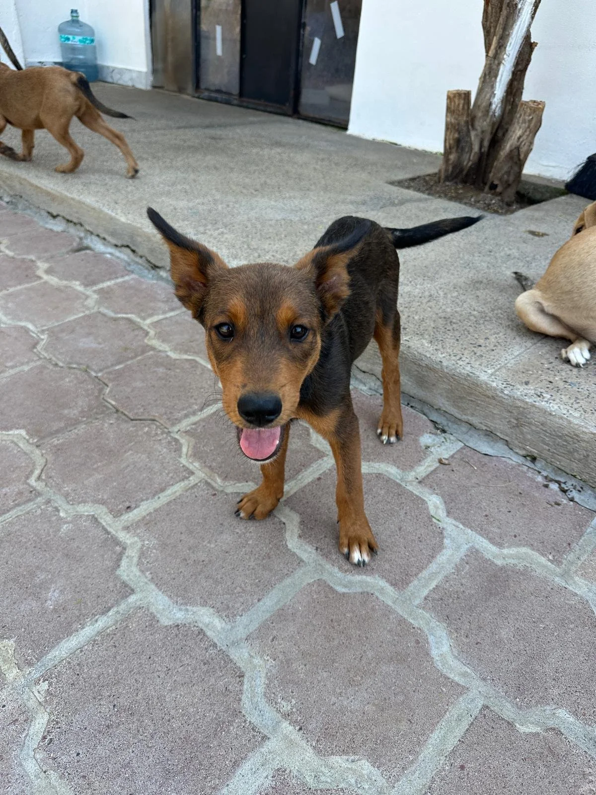 WhatsApp Image 2026-03-18 at 5.37.51 PM (5).jpeg