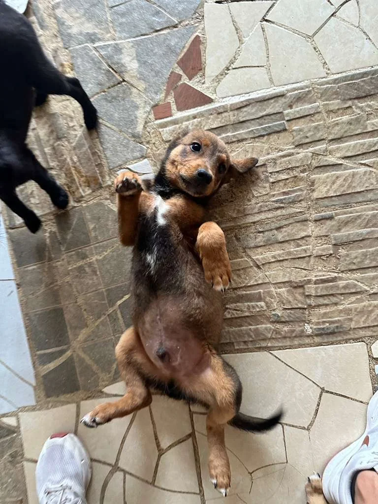 WhatsApp Image 2026-02-13 at 3.55.14 PM.jpeg