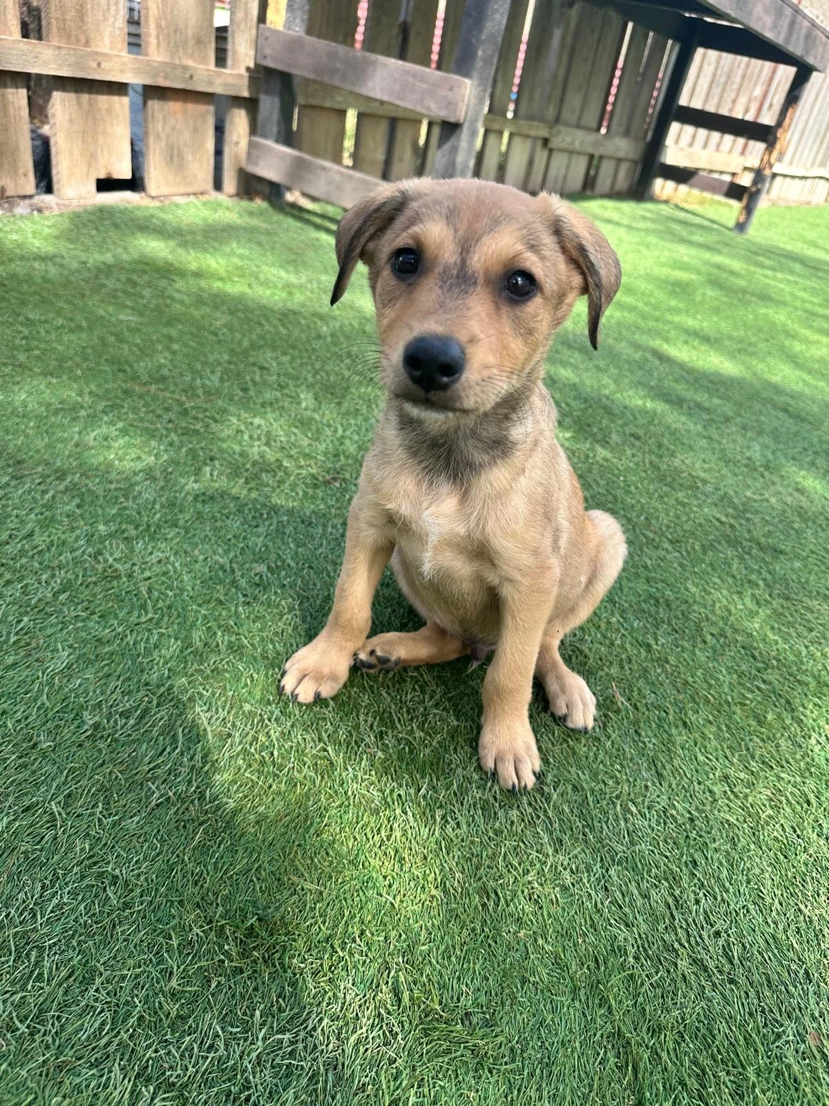 WhatsApp Image 2026-03-19 at 1.20.20 PM.jpeg