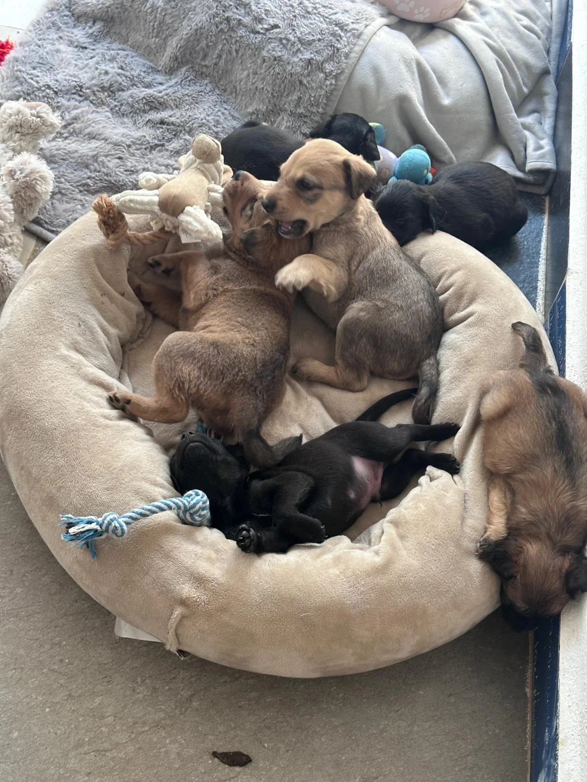 WhatsApp Image 2025-12-22 at 3.58.48 PM (2).jpeg