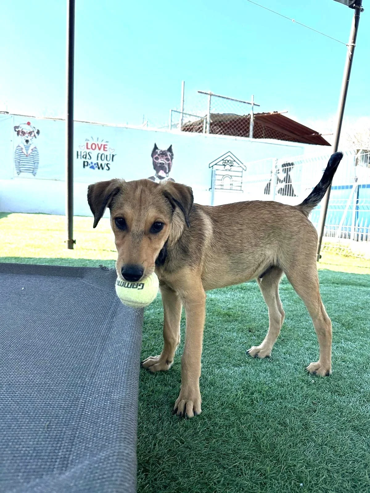 WhatsApp Image 2026-03-18 at 5.41.32 PM (7).jpeg