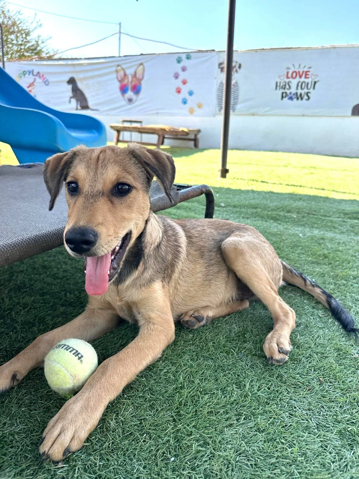 WhatsApp Image 2026-03-18 at 5.41.32 PM (10).jpeg