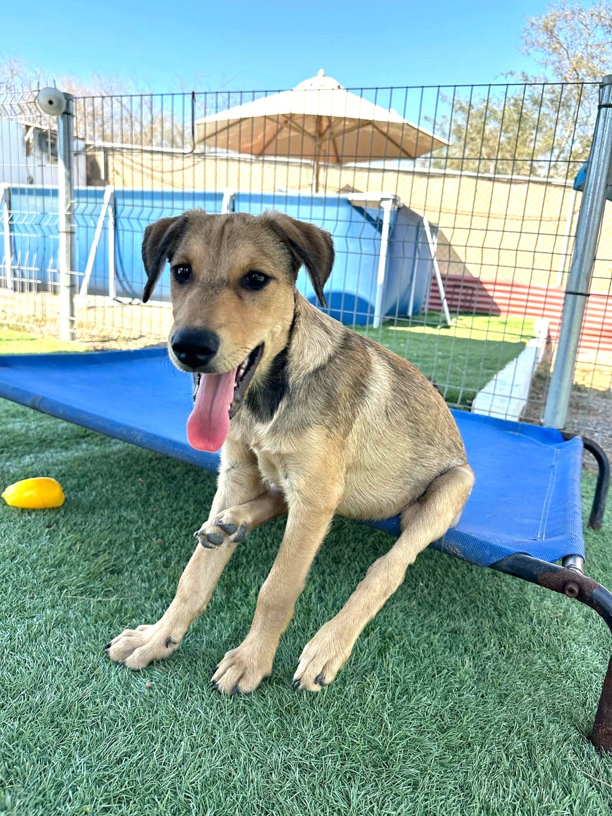 WhatsApp Image 2026-03-18 at 5.41.33 PM.jpeg