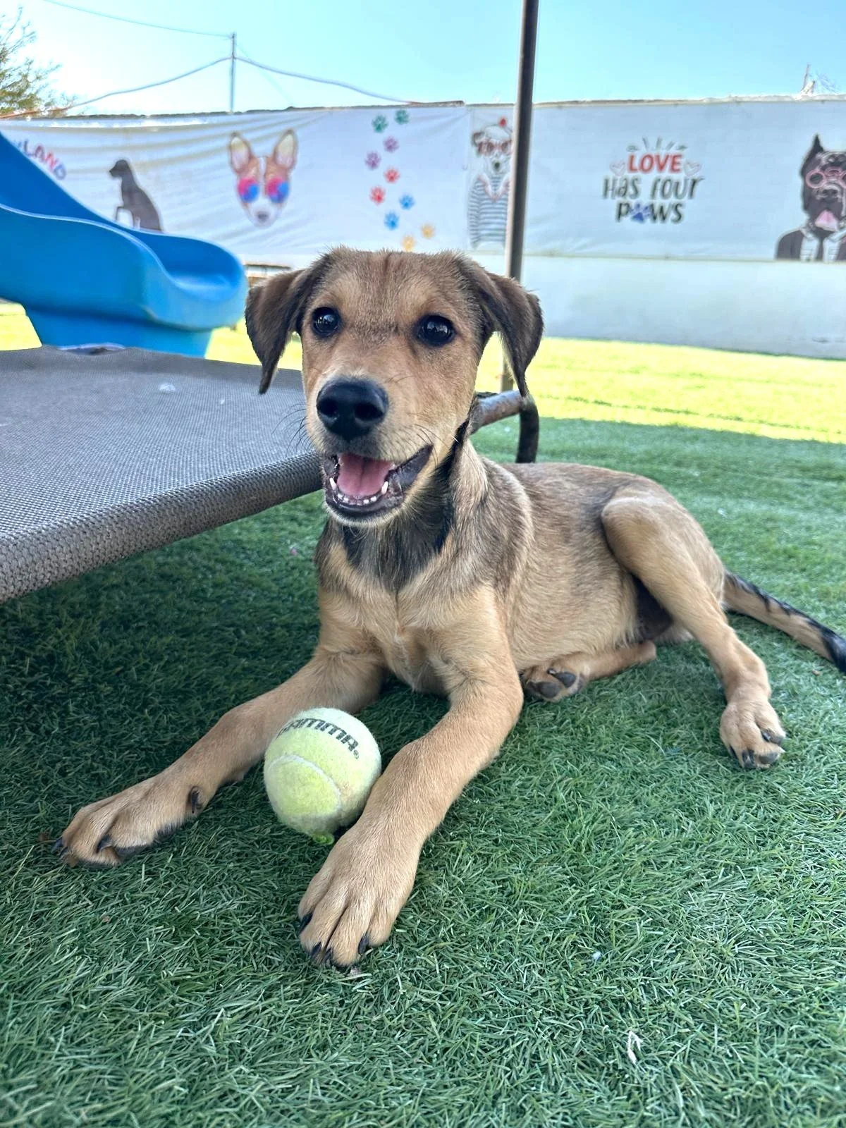 WhatsApp Image 2026-03-18 at 5.41.32 PM (8).jpeg