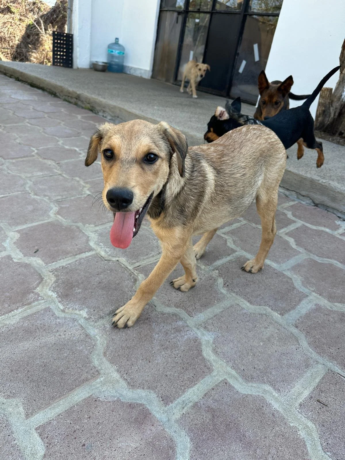 WhatsApp Image 2026-03-18 at 5.41.32 PM (1).jpeg