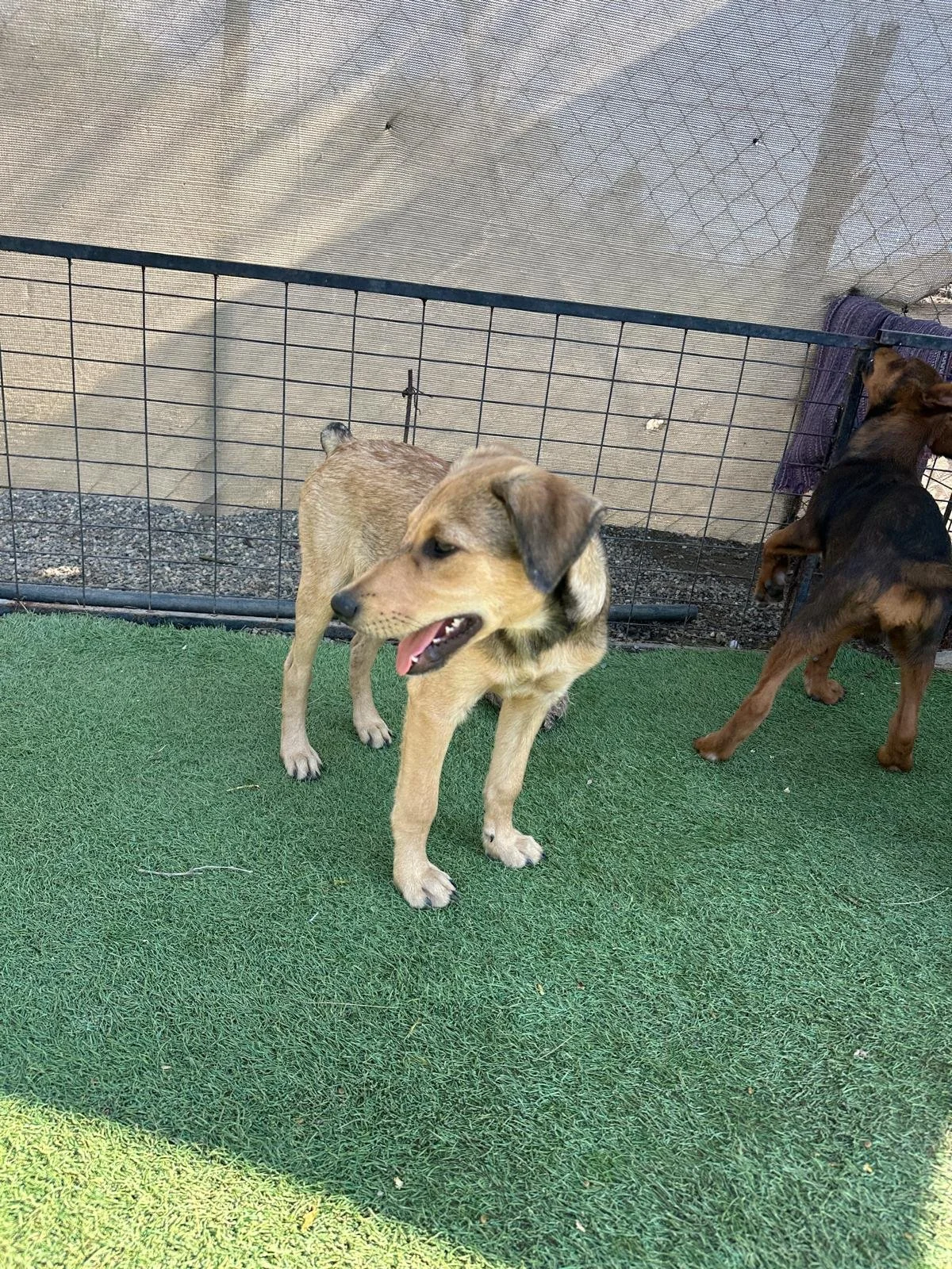 WhatsApp Image 2026-03-18 at 5.41.32 PM (3).jpeg