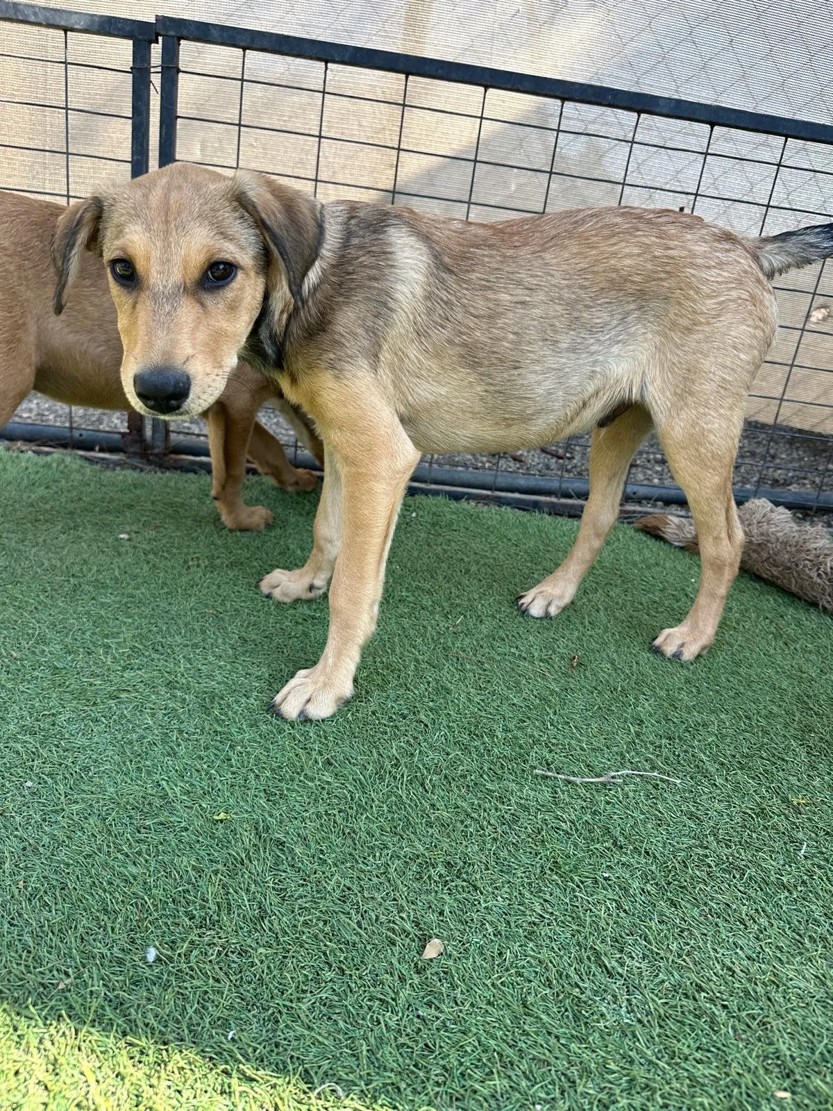 WhatsApp Image 2026-03-18 at 5.41.32 PM (5).jpeg