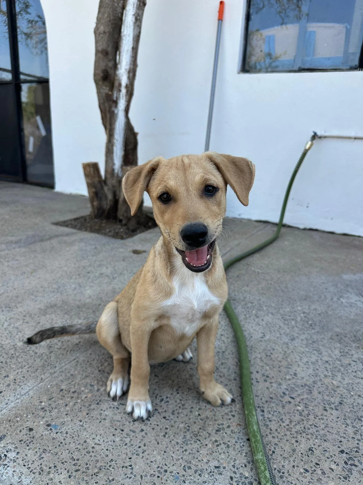 WhatsApp Image 2026-03-18 at 5.36.37 PM.jpeg