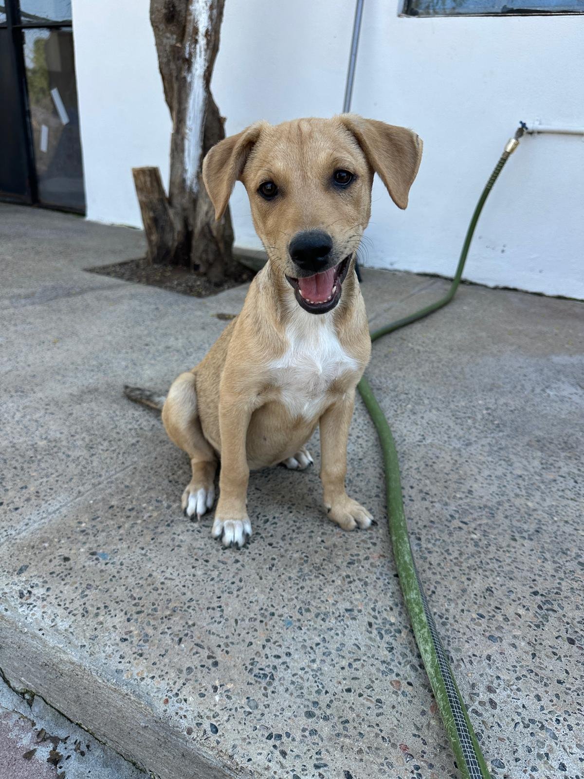 WhatsApp Image 2026-03-18 at 5.36.37 PM (1).jpeg