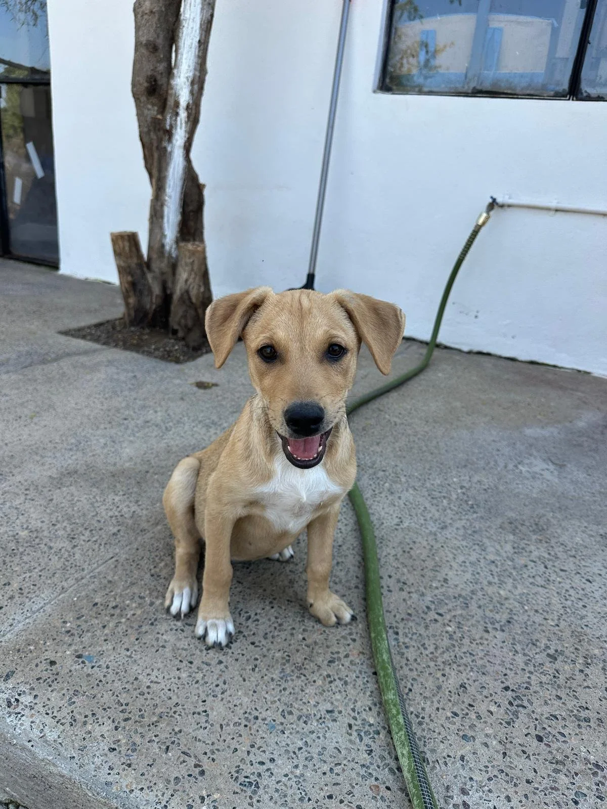 WhatsApp Image 2026-03-18 at 5.36.36 PM (4).jpeg