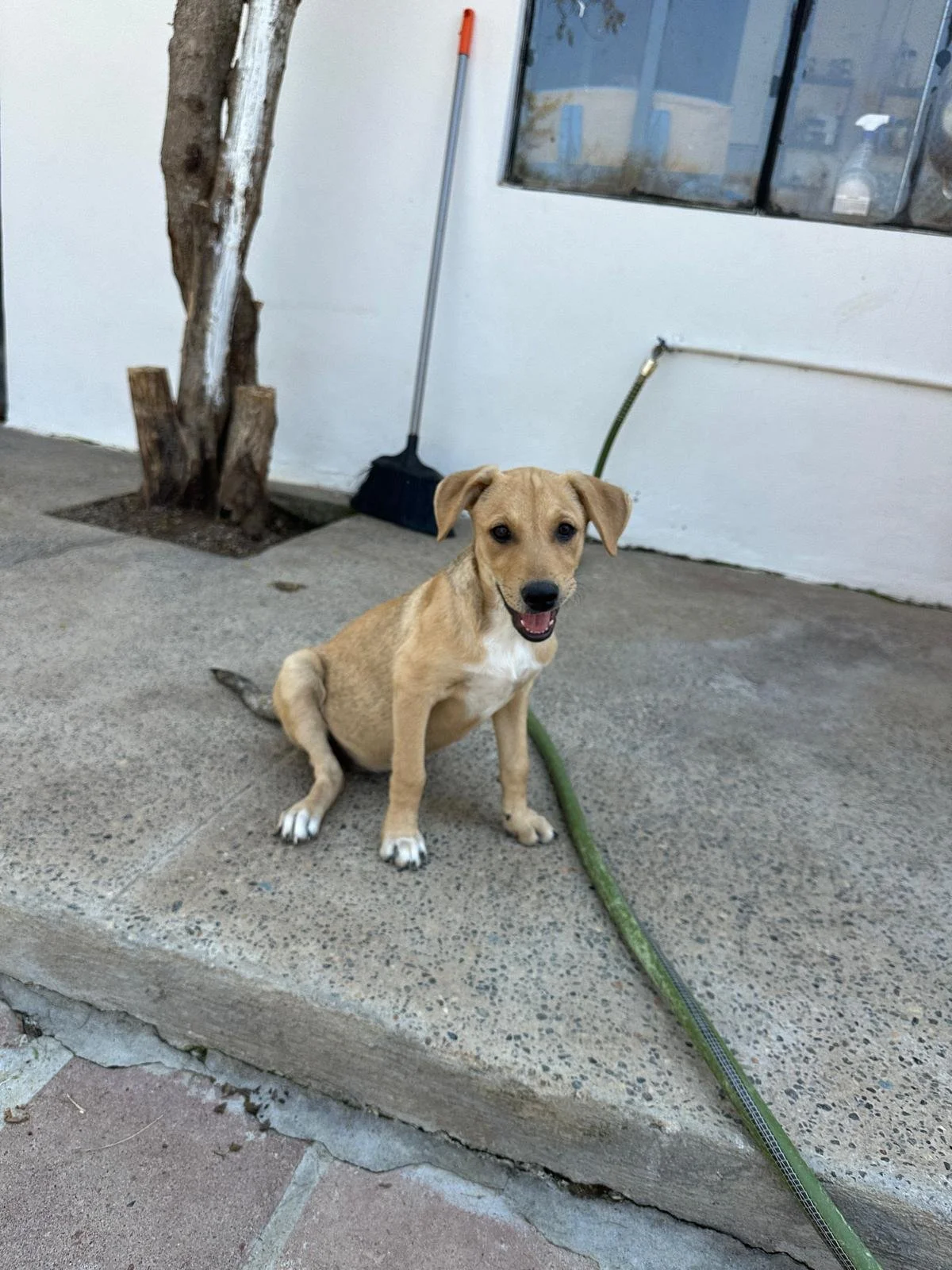 WhatsApp Image 2026-03-18 at 5.36.36 PM (3).jpeg