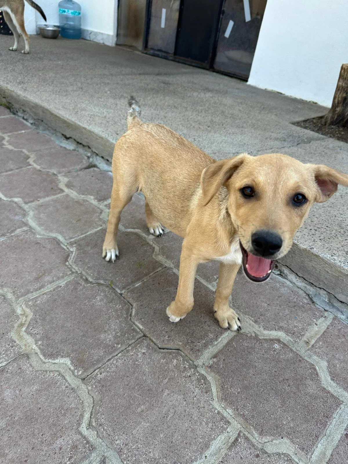 WhatsApp Image 2026-03-18 at 5.36.36 PM (2).jpeg