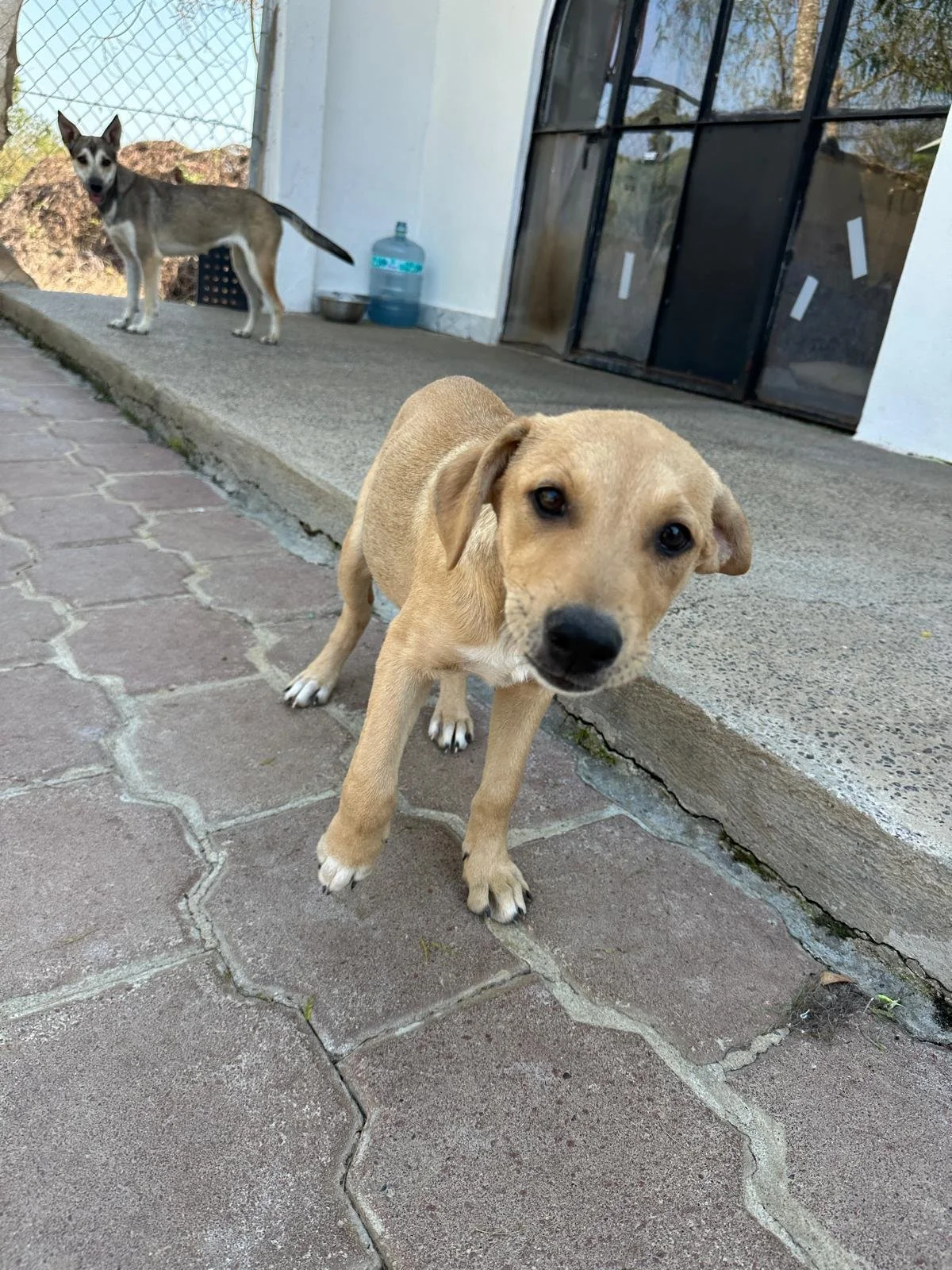 WhatsApp Image 2026-03-18 at 5.36.36 PM (1).jpeg