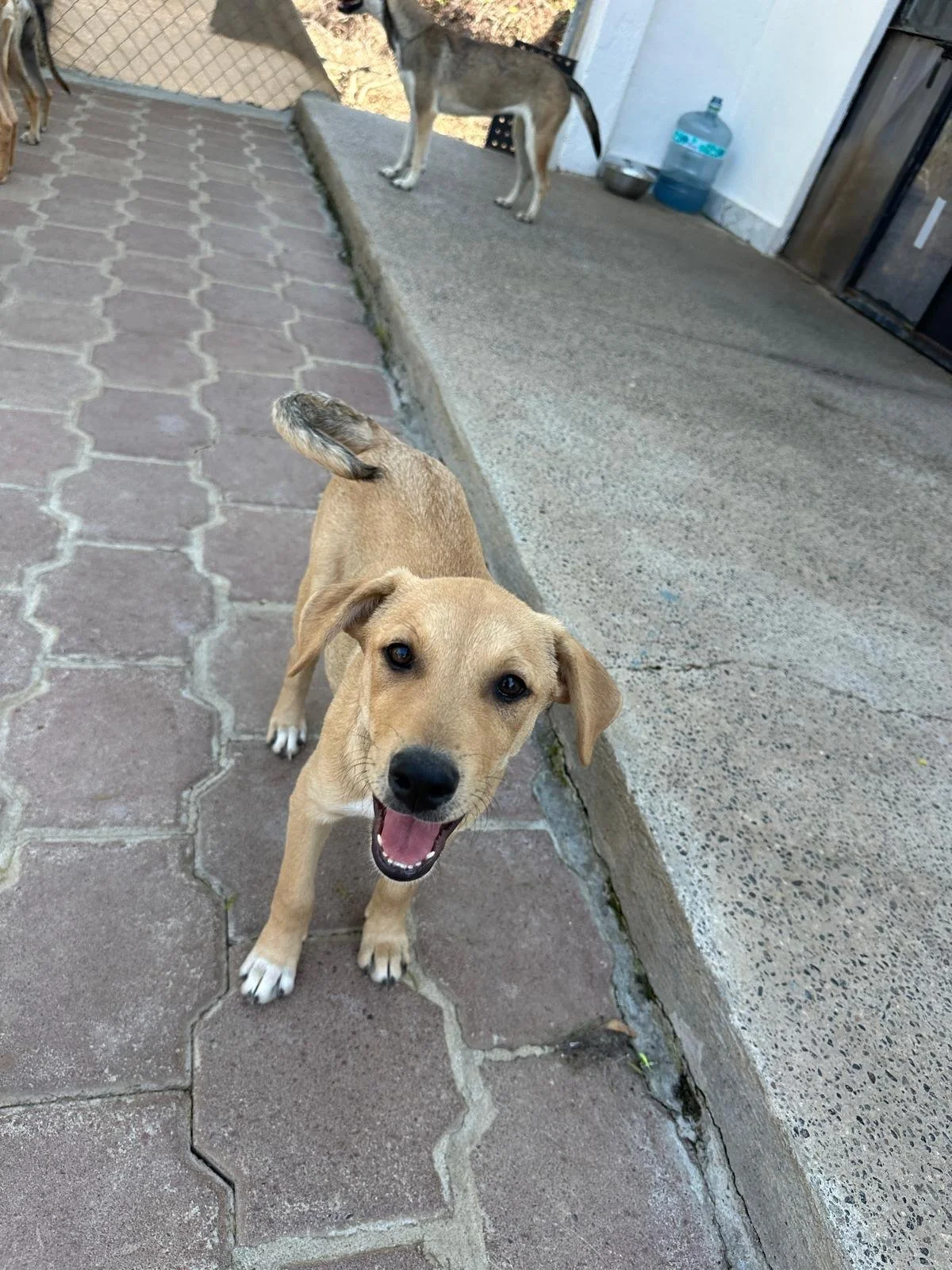 WhatsApp Image 2026-03-18 at 5.36.36 PM.jpeg