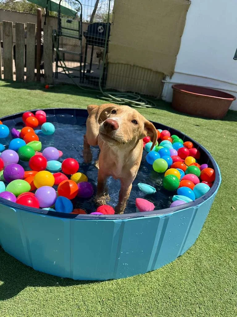 WhatsApp Image 2026-03-21 at 2.14.15 PM.jpeg