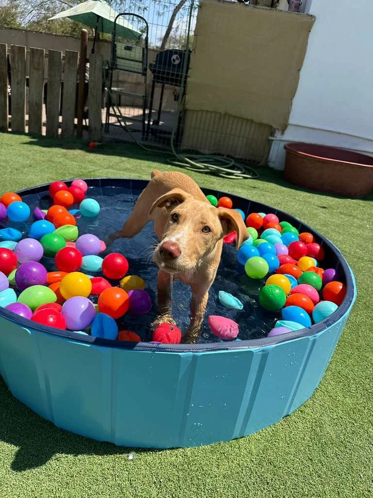 WhatsApp Image 2026-03-21 at 2.14.14 PM.jpeg