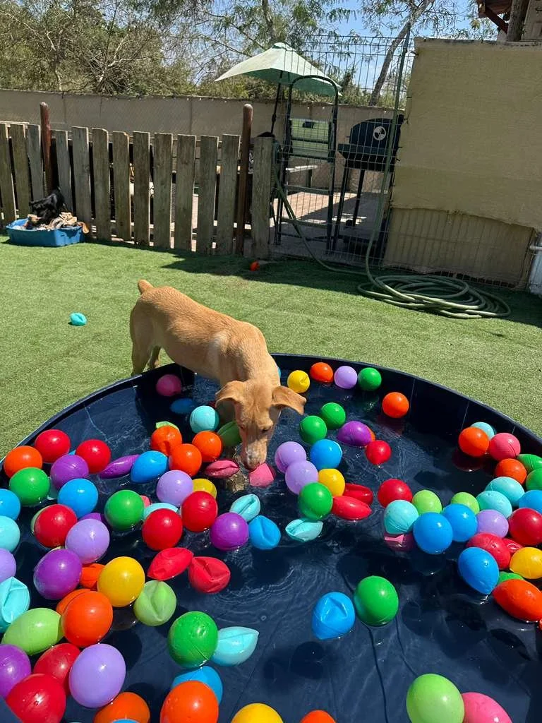 WhatsApp Image 2026-03-21 at 2.14.10 PM.jpeg