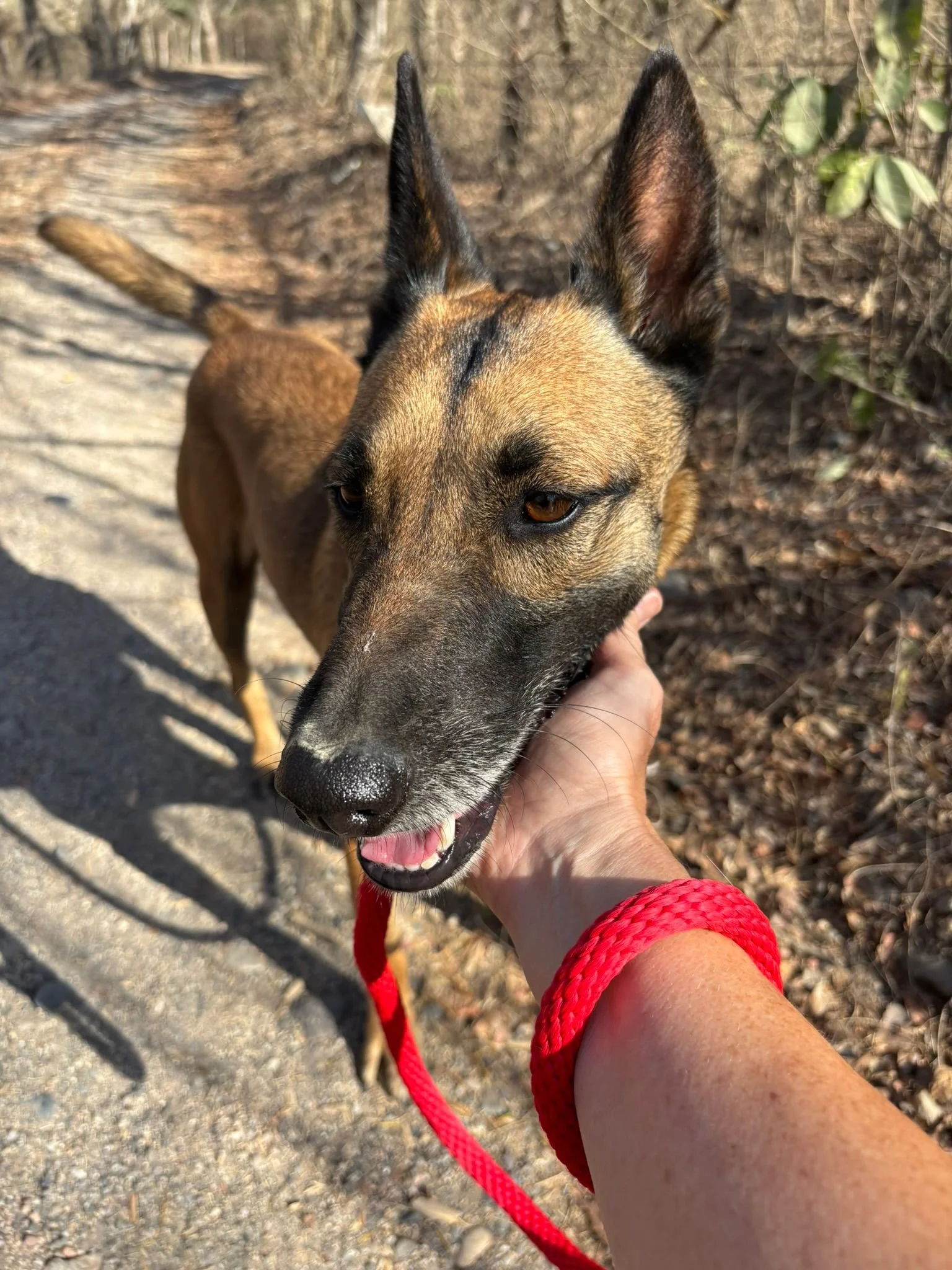 WhatsApp Image 2026-03-21 at 12.59.39 PM.jpeg