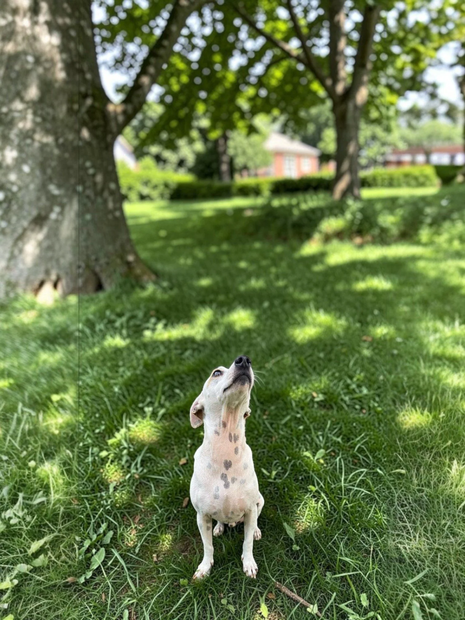 WhatsApp Image 2026-03-09 at 12.03.00 PM (1).jpg