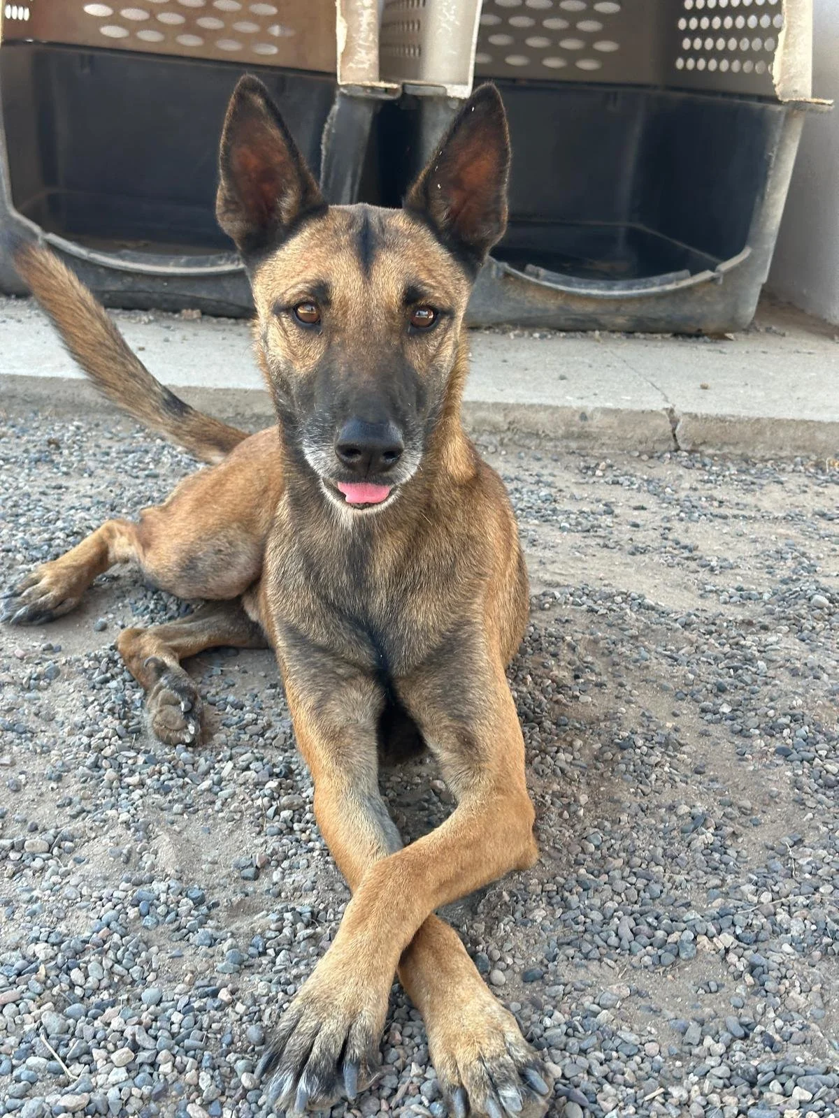 WhatsApp Image 2026-03-22 at 2.31.31 PM.jpeg