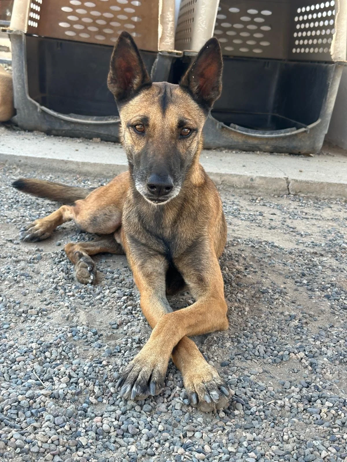 WhatsApp Image 2026-03-22 at 2.31.31 PM.jpeg