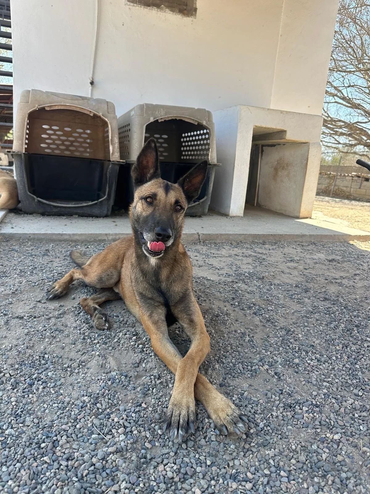 WhatsApp Image 2026-03-22 at 2.31.31 PM (1).jpeg