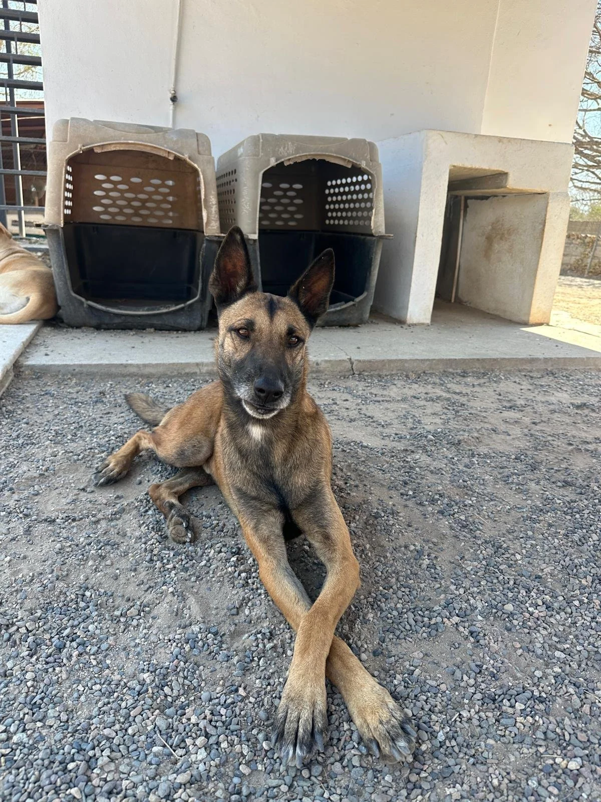 WhatsApp Image 2026-03-22 at 2.31.31 PM (2).jpeg