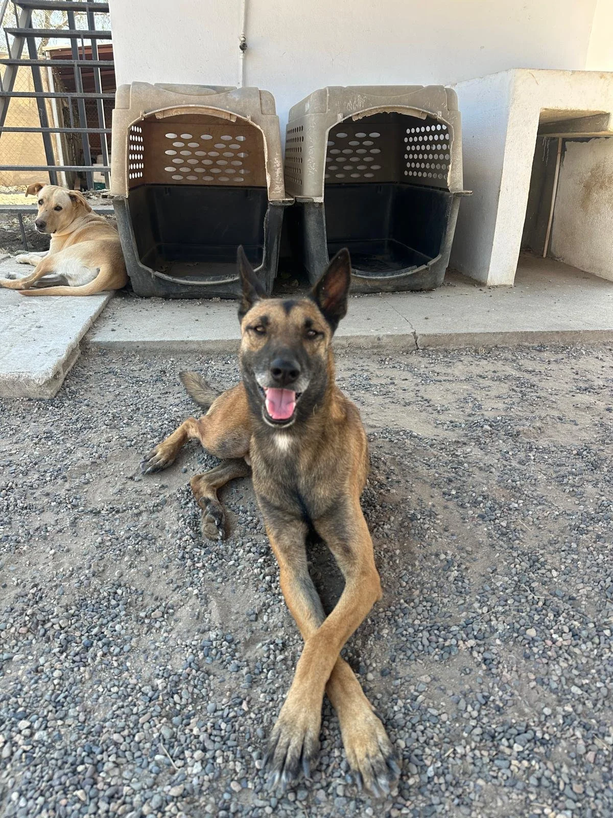 WhatsApp Image 2026-03-22 at 2.31.31 PM (3).jpeg