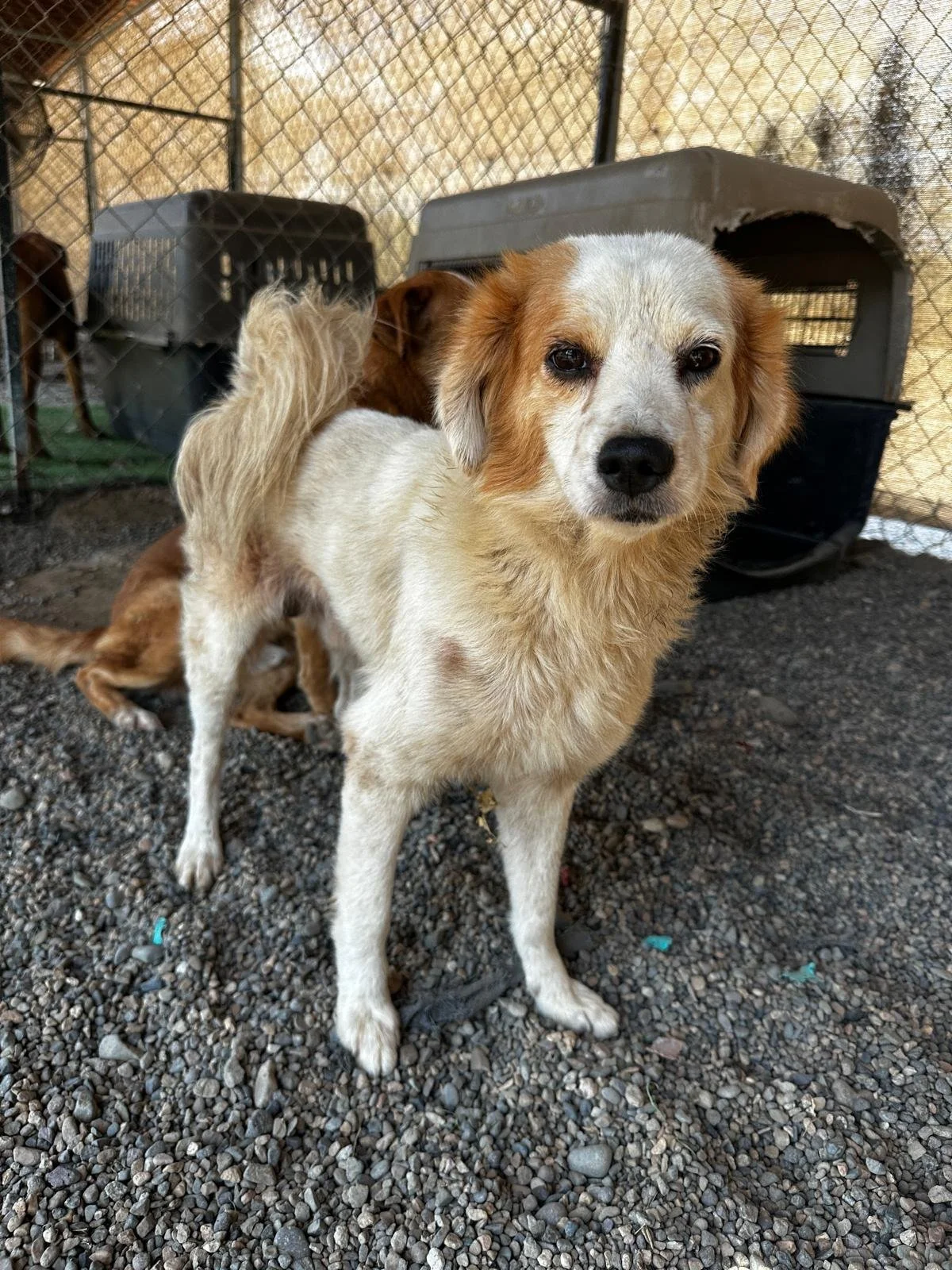 WhatsApp Image 2026-03-05 at 2.50.37 PM (1).jpeg