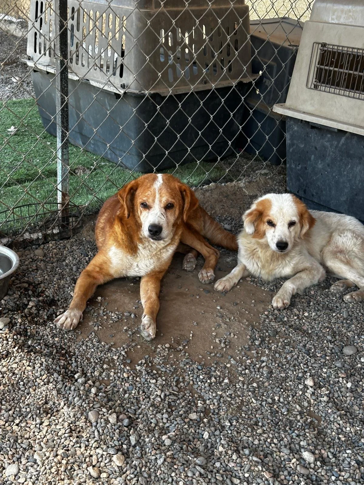 WhatsApp Image 2026-03-05 at 2.50.17 PM (1).jpeg