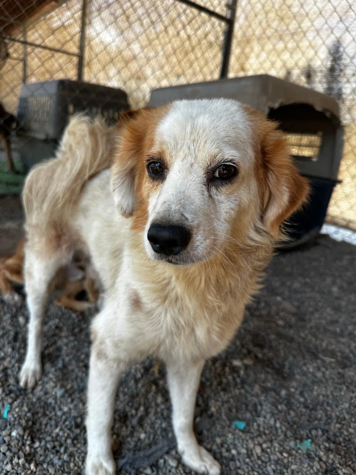 WhatsApp Image 2026-03-05 at 2.50.37 PM.jpeg