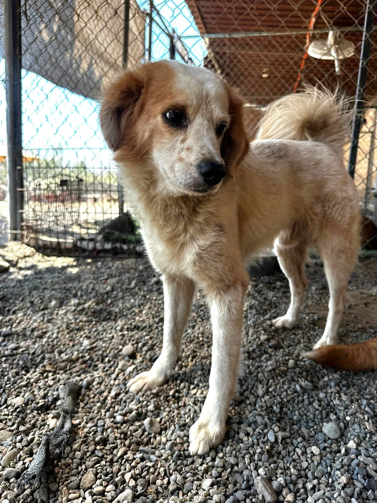 WhatsApp Image 2026-03-05 at 2.50.37 PM (3).jpeg