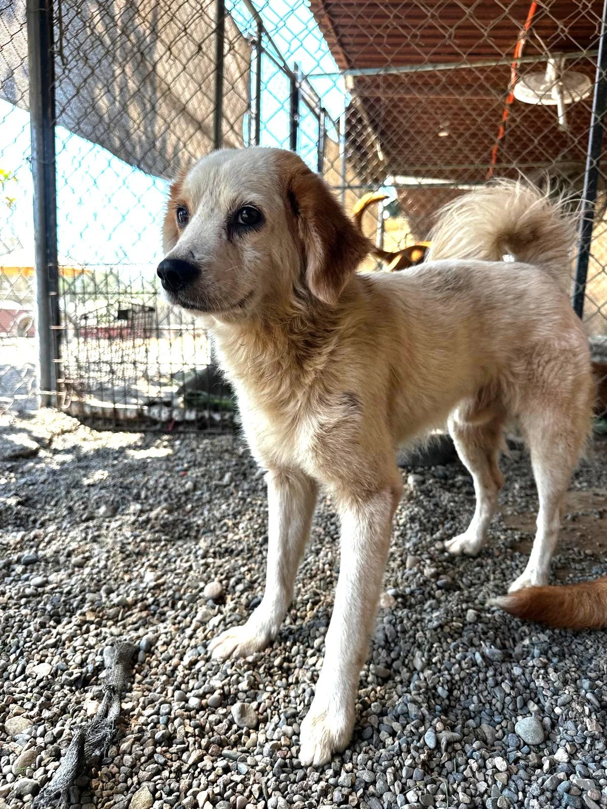 WhatsApp Image 2026-03-05 at 2.50.37 PM (4).jpeg