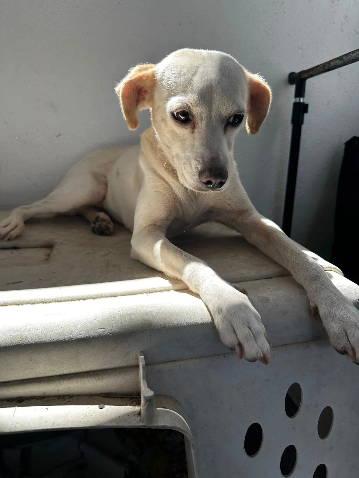 WhatsApp Image 2026-03-06 at 3.56.14 PM (3).jpeg