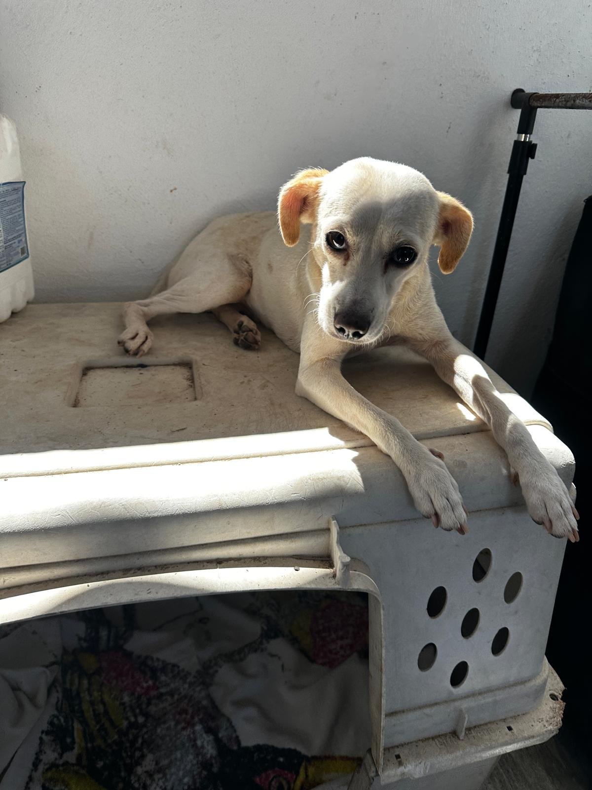 WhatsApp Image 2026-03-06 at 3.56.14 PM (2).jpeg