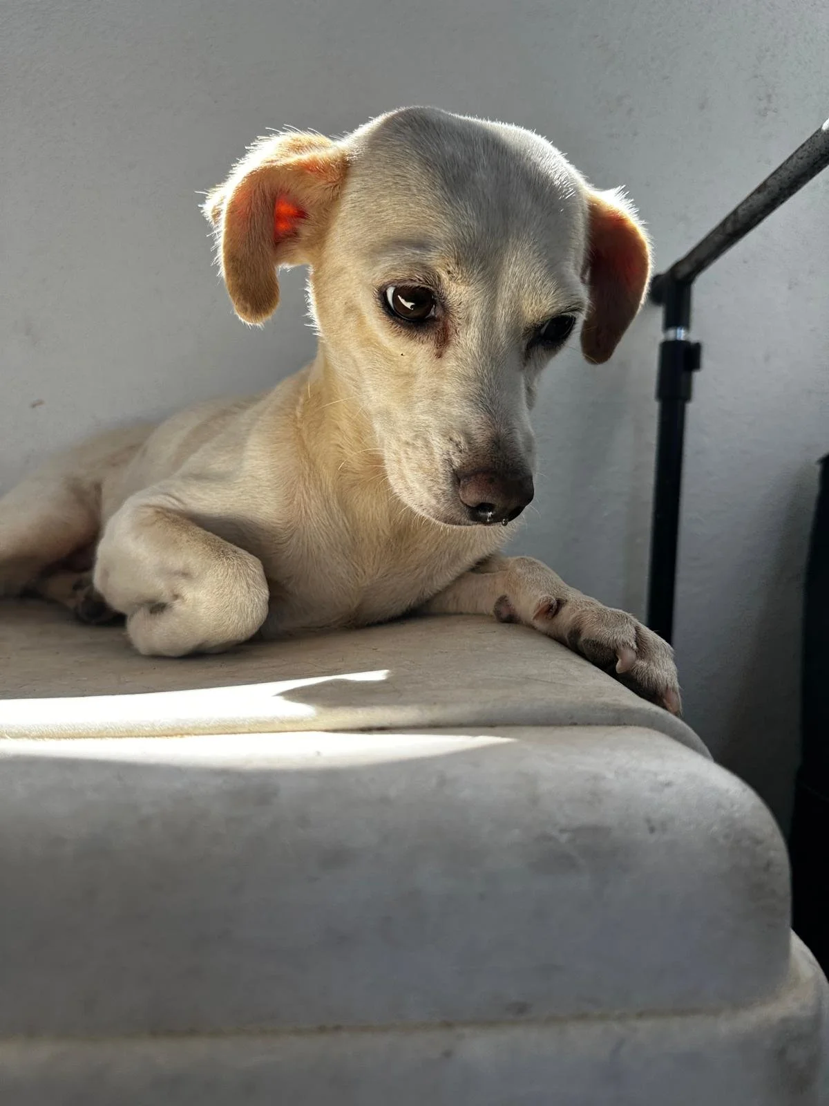 WhatsApp Image 2026-03-06 at 3.56.14 PM (1).jpeg