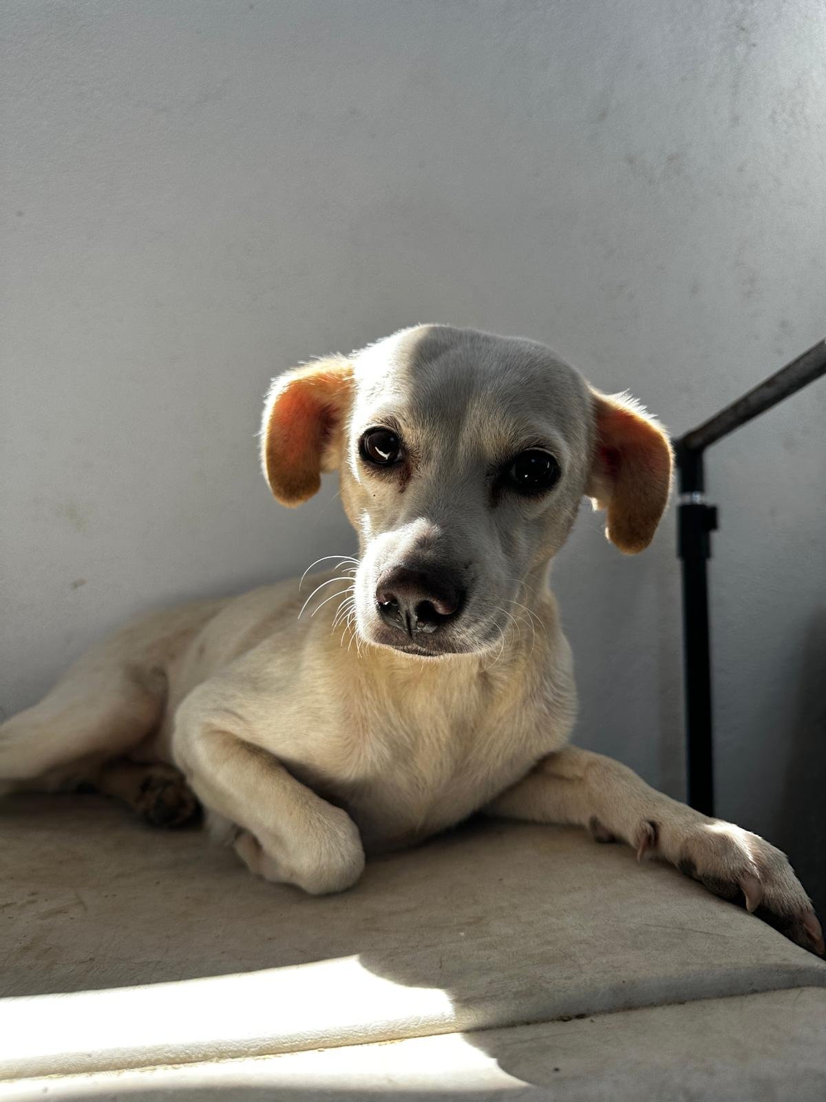 WhatsApp Image 2026-03-06 at 3.56.14 PM.jpeg